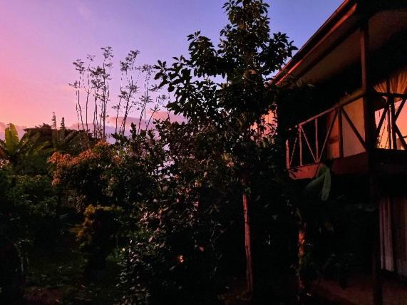 Marari Rapa Nui Otel Hanga Roa Dış mekan fotoğraf