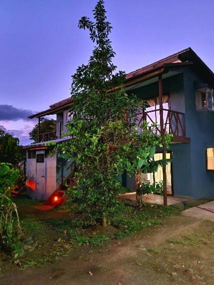 Marari Rapa Nui Otel Hanga Roa Dış mekan fotoğraf