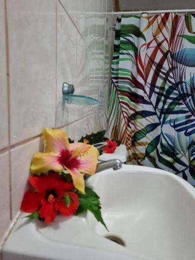 Marari Rapa Nui Otel Hanga Roa Dış mekan fotoğraf